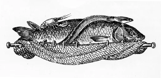 Vinheta para o capítulo XIX, página 262, de L&39;Art de la Cuisine Francaise, vol. III por Antonin Careme, publicado em 1834 (papel impresso)